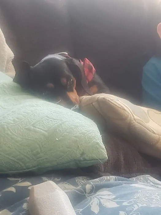 Beaver Dam Veterinary Clinic Picture 4