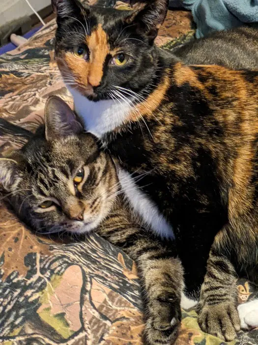 Beaver Dam Veterinary Clinic Picture 6