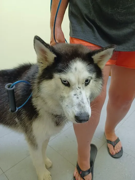 Beaver Dam Veterinary Clinic Picture 9