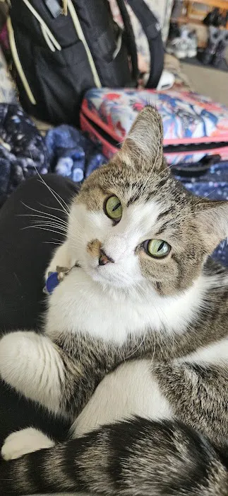 Mayville Animal Clinic: Stephenson Eric DVM Picture 1