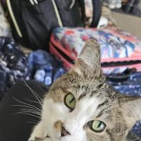 Mayville Animal Clinic: Stephenson Eric DVM ico