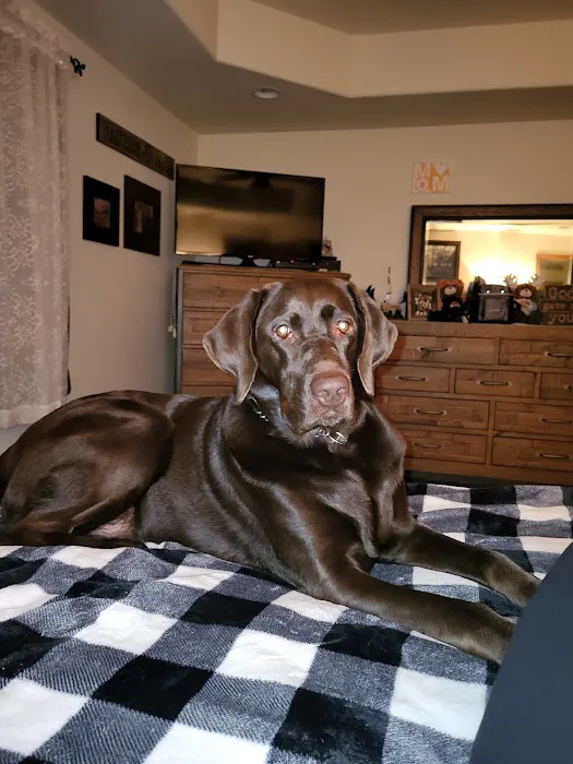 Mayville Animal Clinic Picture 2