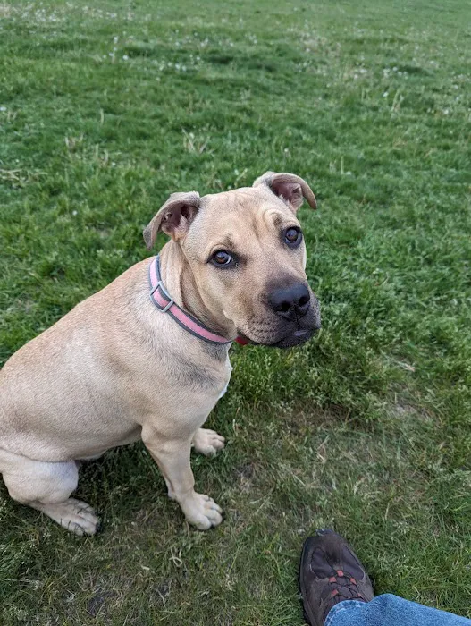 Mayville Animal Clinic Picture 5