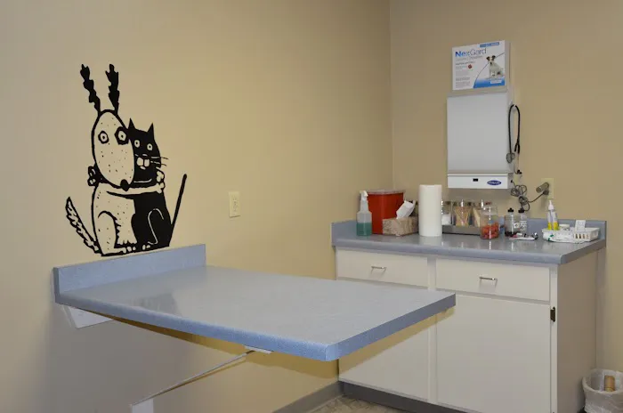 Mayville Animal Clinic Picture 3