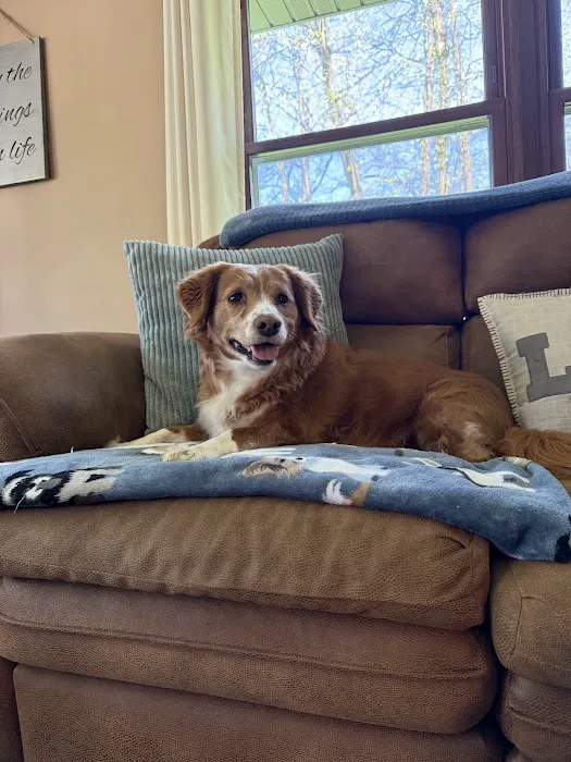 Mayville Animal Clinic Picture 6