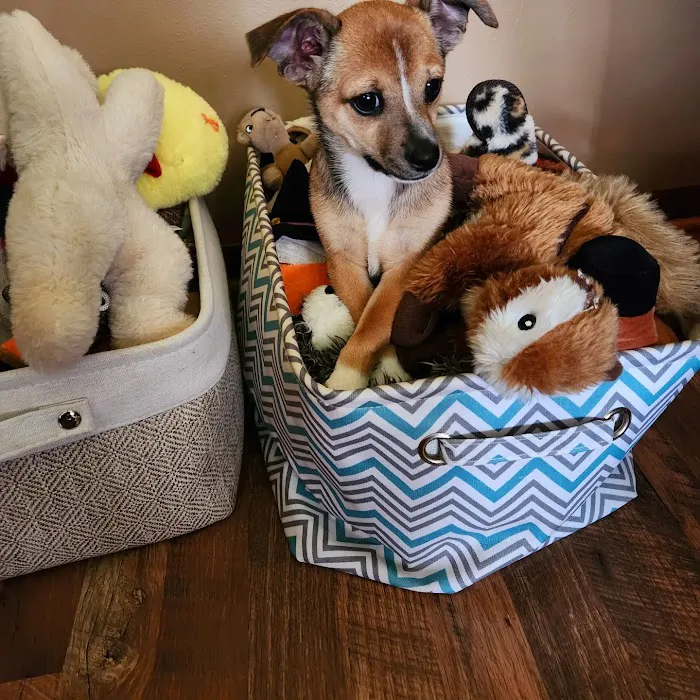 Mayville Animal Clinic Picture 8