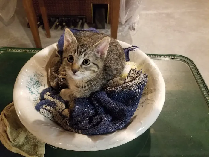 Mayville Animal Clinic Picture 7