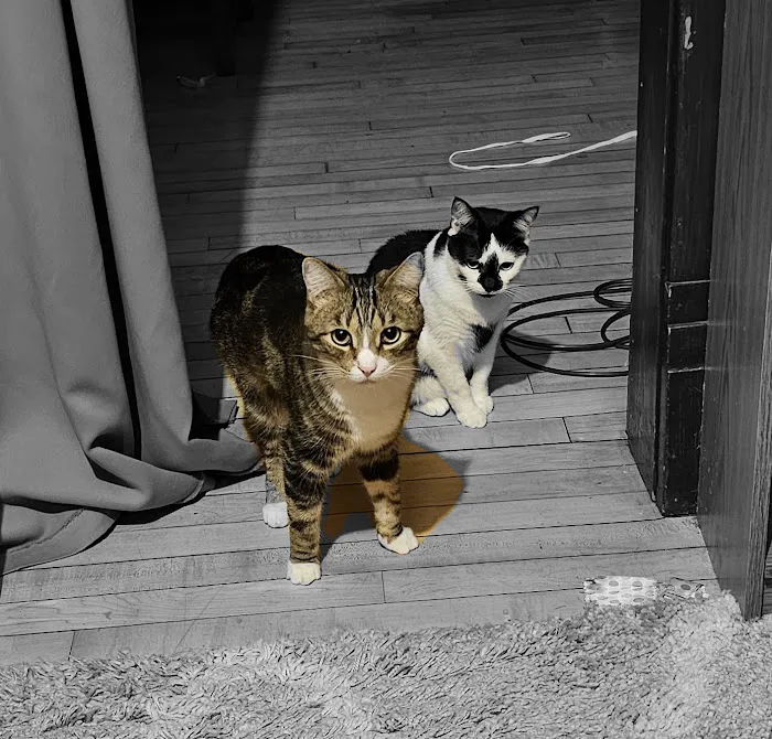 Mayville Animal Clinic Picture 9