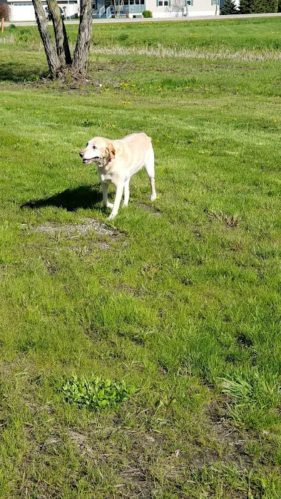 CJ Haase Veterinary and Immunological Services Picture 3