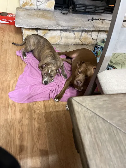 CJ Haase Veterinary and Immunological Services Picture 5