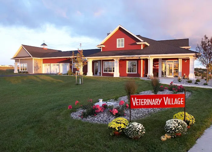 Veterinary Village ICSB WI/IL Brownsville Lomira Small Animal Clinic Picture 2