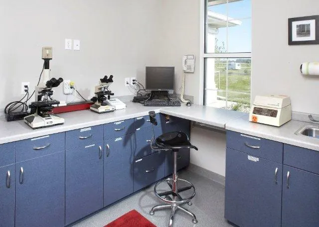 Veterinary Village ICSB WI/IL Brownsville Lomira Small Animal Clinic Picture 7