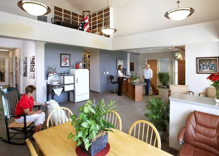 Veterinary Village ICSB WI/IL Brownsville Lomira Small Animal Clinic Picture 10