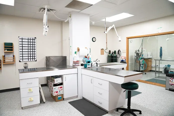 Gentle Healer Pet Clinic LLC Picture 1