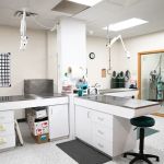 Gentle Healer Pet Clinic LLC