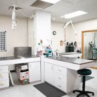 Gentle Healer Pet Clinic LLC ico