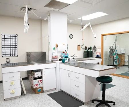 Gentle Healer Pet Clinic LLC