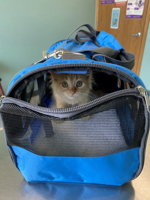 Gentle Healer Pet Clinic LLC Picture 4