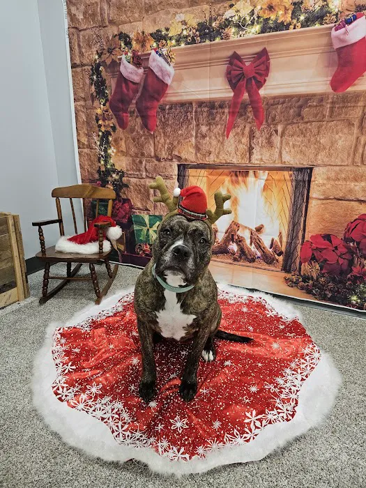 Gentle Healer Pet Clinic LLC Picture 6