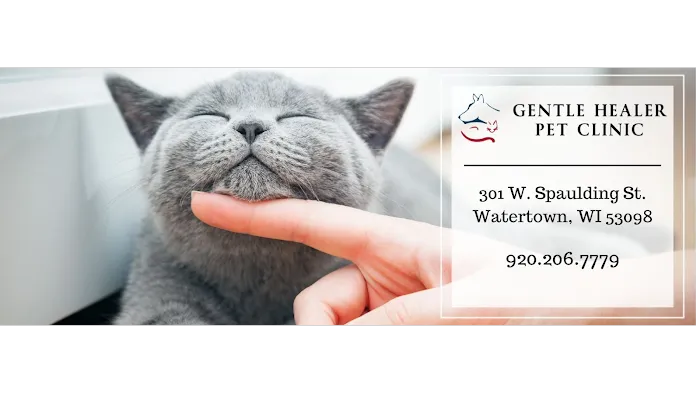 Gentle Healer Pet Clinic LLC Picture 10