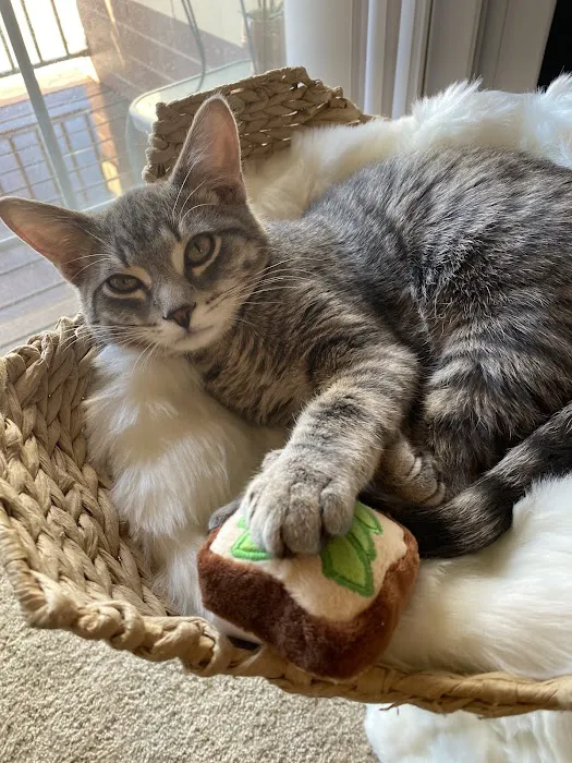 Token Creek Veterinary Clinic Picture 1