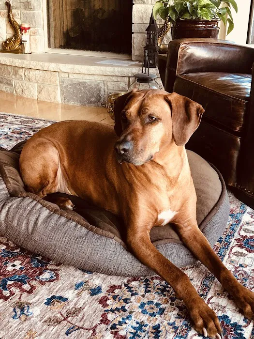 Token Creek Veterinary Clinic Picture 5