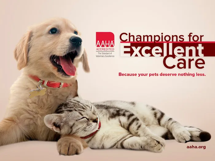 Token Creek Veterinary Clinic Picture 10