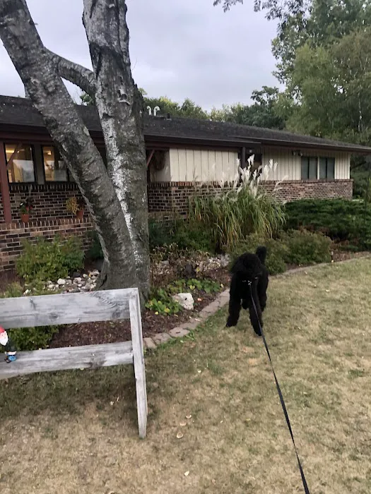 Token Creek Veterinary Clinic Picture 8