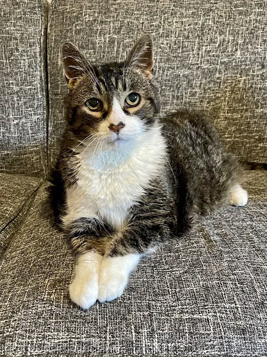 Waunakee Veterinary Clinic Picture 2