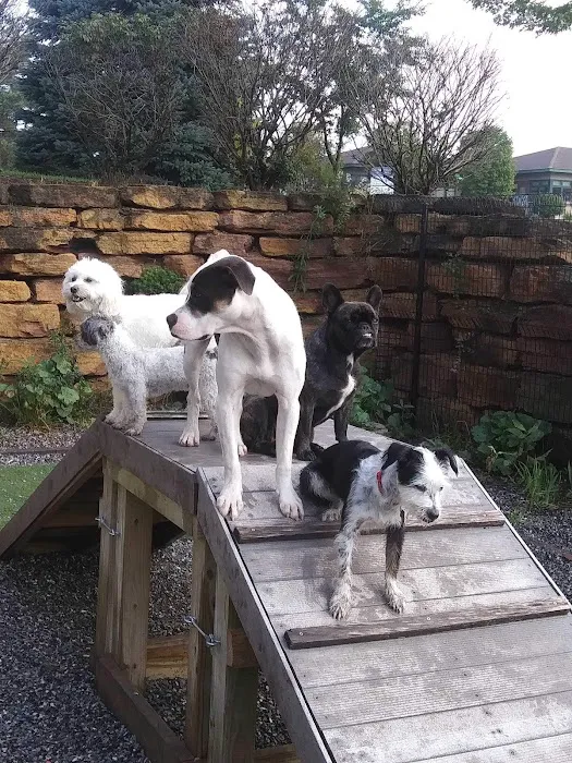 Waunakee Veterinary Clinic Picture 6