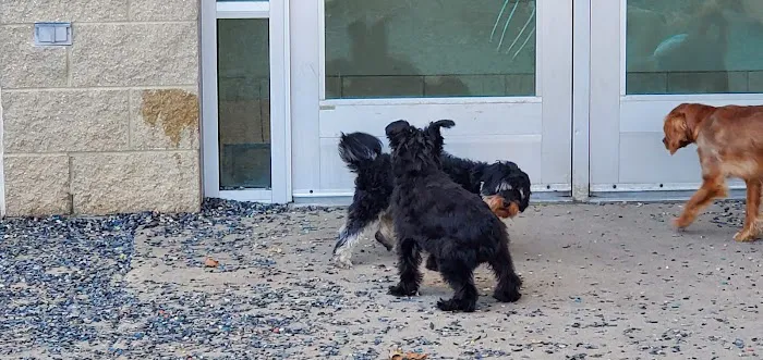 Waunakee Veterinary Clinic Picture 4