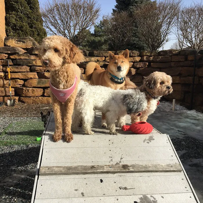 Waunakee Veterinary Clinic Picture 5