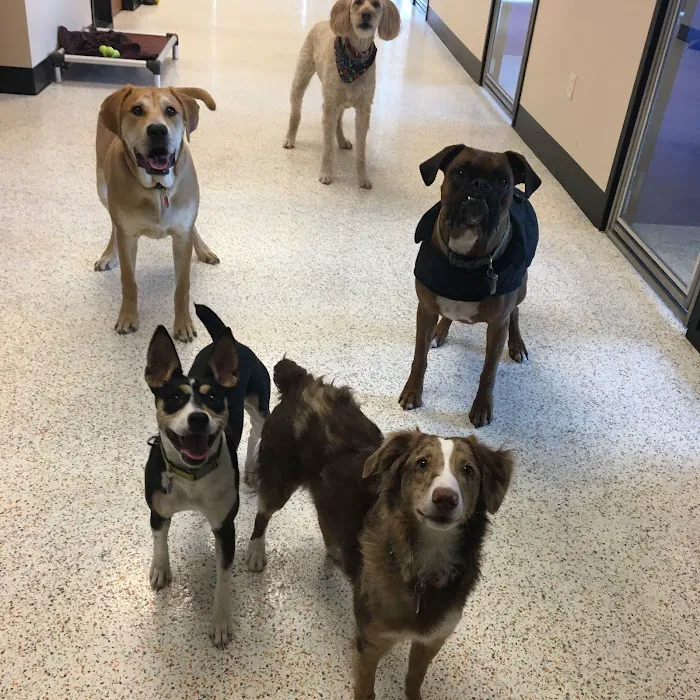 Waunakee Veterinary Clinic Picture 7