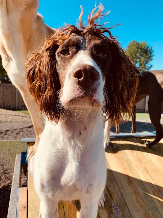 Waunakee Veterinary Clinic Picture 8