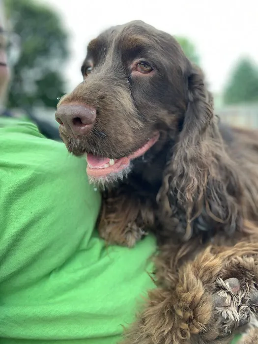 Waunakee Veterinary Clinic Picture 10