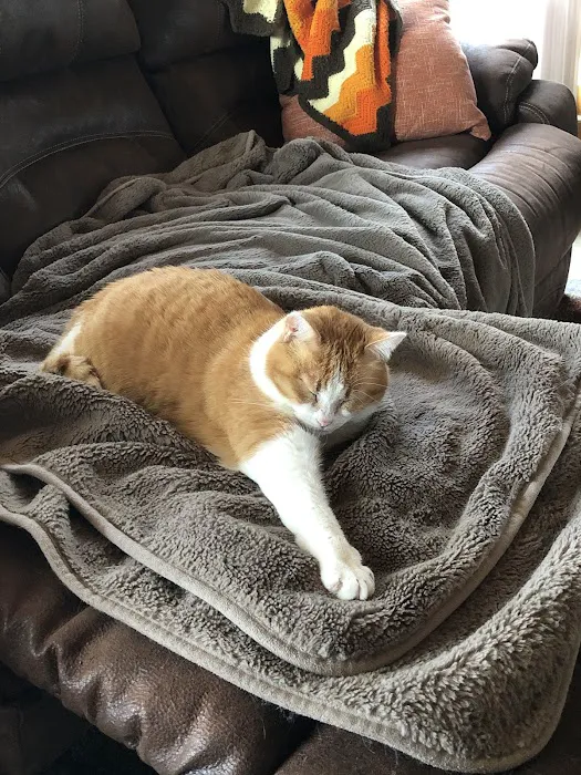 Aurora Veterinary Care Picture 2