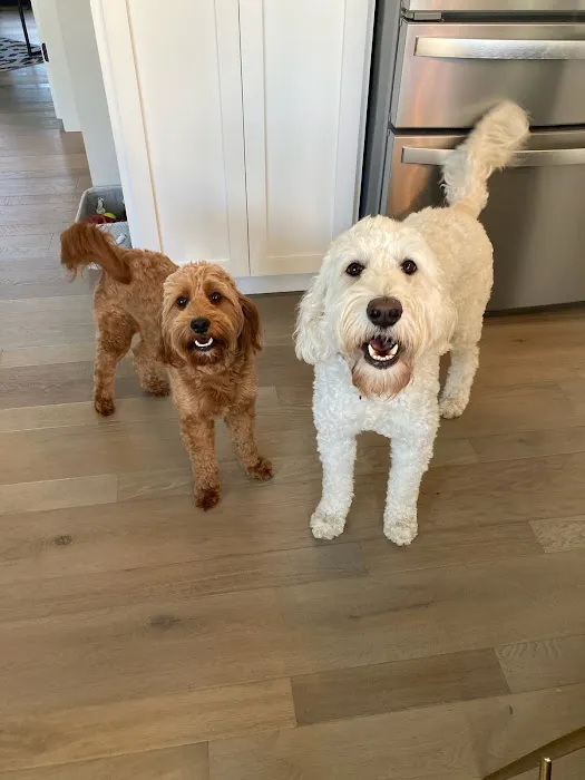 Aurora Veterinary Care Picture 6