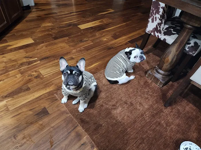 Aurora Veterinary Care Picture 5