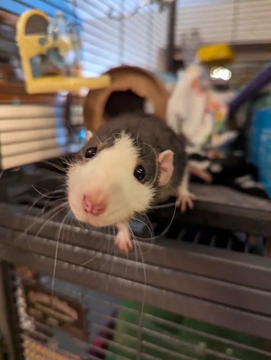 Aurora Veterinary Care Picture 9