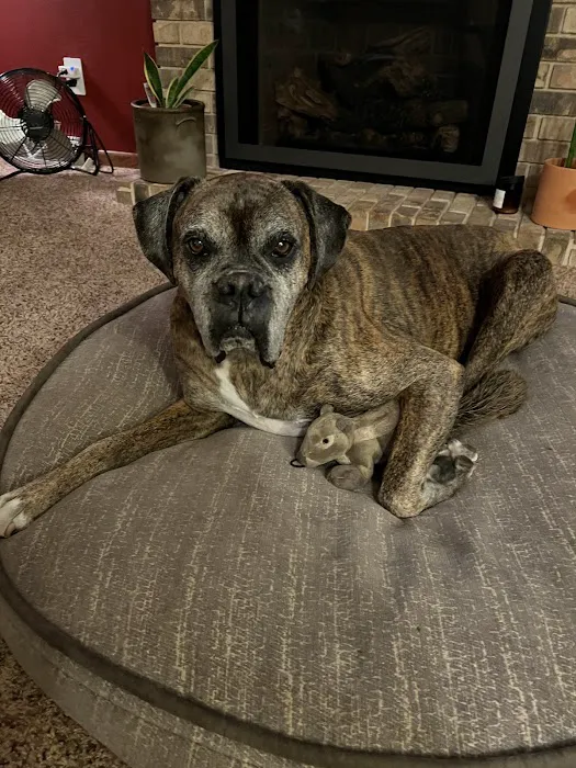 Pineview Veterinary Hospital & Pet Resort Picture 1