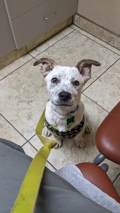 Pineview Veterinary Hospital & Pet Resort Picture 2