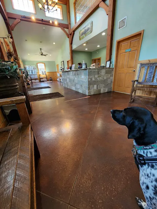 Pineview Veterinary Hospital & Pet Resort Picture 6