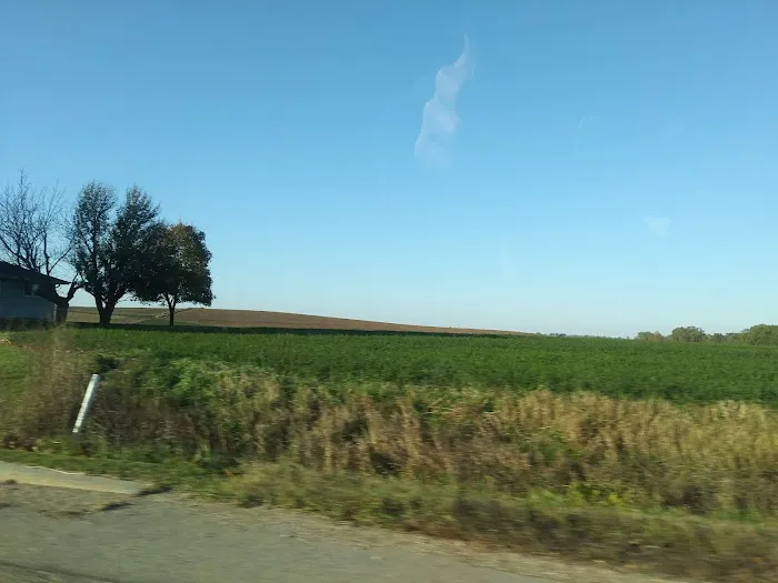 Pineview Veterinary Hospital & Pet Resort Picture 7