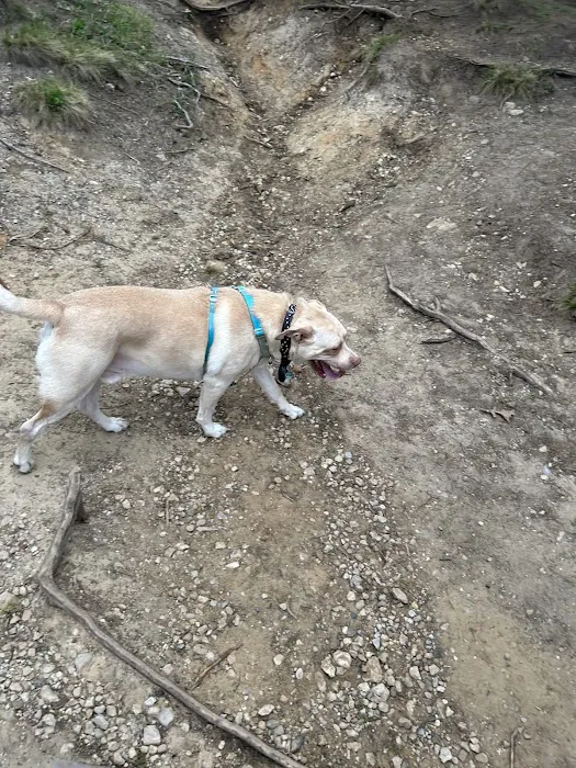 Capital City Vet Clinic Picture 1