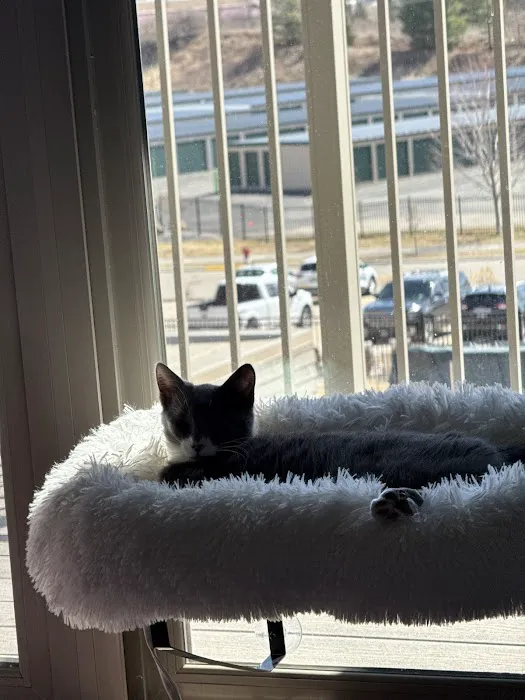 Capital City Vet Clinic Picture 5