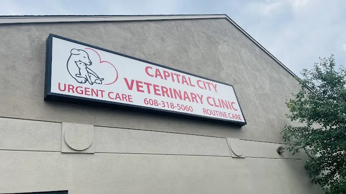 Capital City Vet Clinic Picture 7