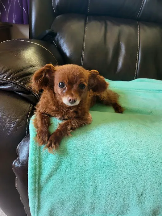 Capital City Vet Clinic Picture 3