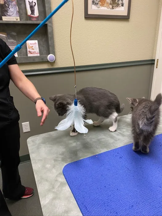 CheckIn Veterinary Picture 1