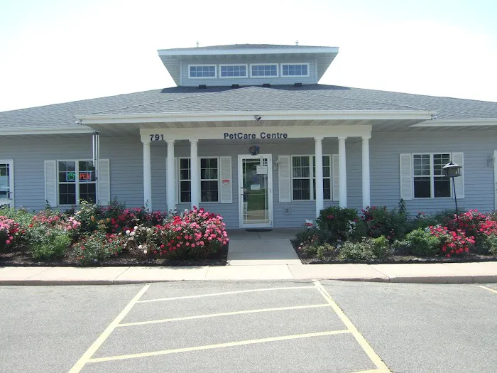 CheckIn Veterinary Picture 4