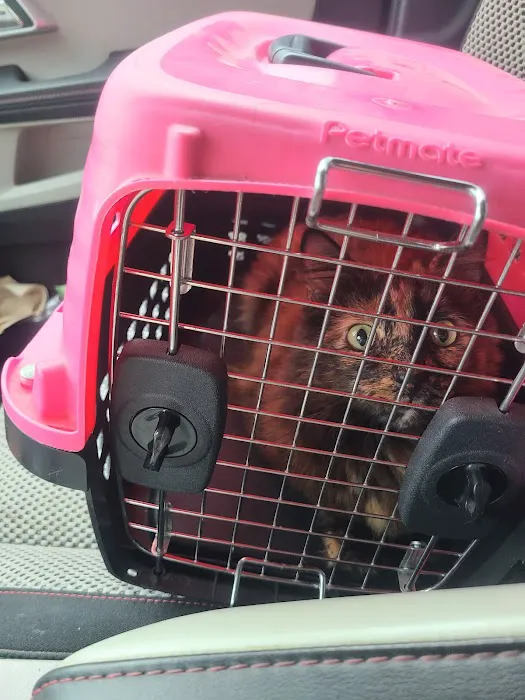 Animal Hospital of Sun Prairie Picture 4